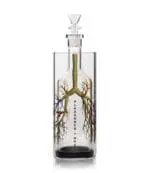 GRAV® Breathe Again Gravitron® Haze Smoke Shop USA - Vaporizers Super Store