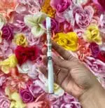 Jane West Day 510 Vape Battery - Haze Smoke Shop USA - Vaporizers Super Store