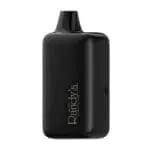 Randy's Inspo XL - Haze Smoke Shop USA - Vaporizers Super Store