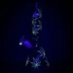 Stylized Hemp Leaf Glow in Dark Glass Water Pipe - Haze Smoke Shop USA - Vaporizers Super Store