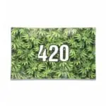 420 Glass Tray - Haze Smoke Shop USA