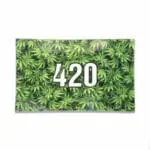 420 Green Glass Rollin'  Tray - Haze Smoke Shop USA