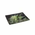 Blue Dream Glass Rollin' Tray - Haze Smoke Shop USA