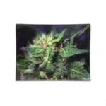 Blue Dream Glass Rollin' Tray Rolling Trays - Haze Smoke Shop USA