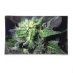Blue Dream Glass Rollin' Tray - Haze Smoke Shop USA