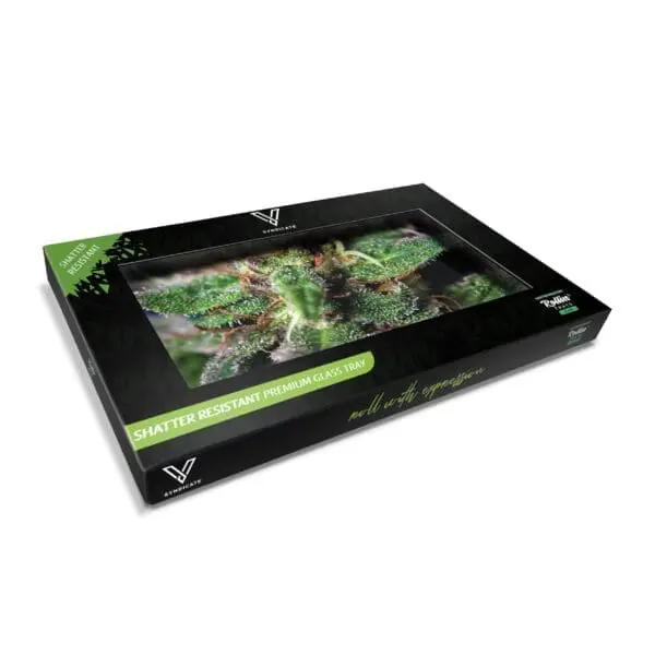 Blue Dream Glass Rollin' Tray - Haze Smoke Shop USA