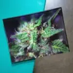 Blue Dream Glass Rollin' Tray - Haze Smoke Shop USA