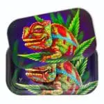 Cloud 9 Chameleon 3D Roll N Go Bundle Rolling Trays - Haze Smoke Shop USA