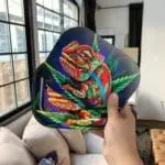 Cloud 9 Chameleon 3D Roll N Go Bundle - Haze Smoke Shop USA