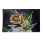 Cloud 9 Chameleon Glass Rollin' Tray - Haze Smoke Shop USA