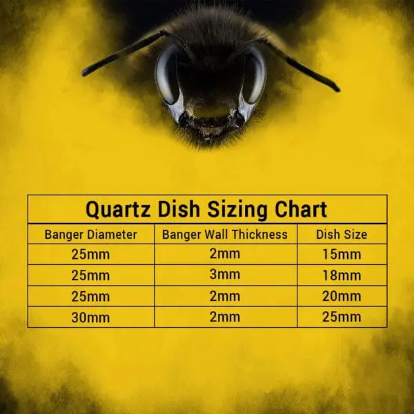 sizing chart