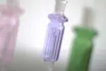 Nectar Collector Wildbird Kit - Haze Smoke Shop USA - Vaporizers Super Store