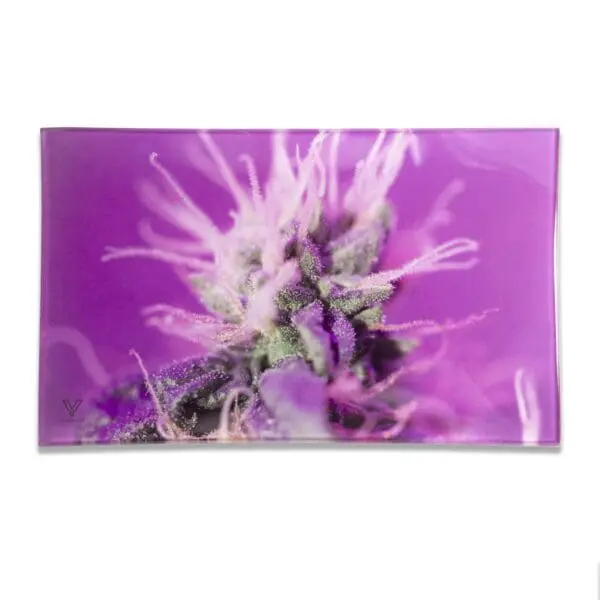 Pink Lemonade Glass Rollin' Tray - Haze Smoke Shop USA