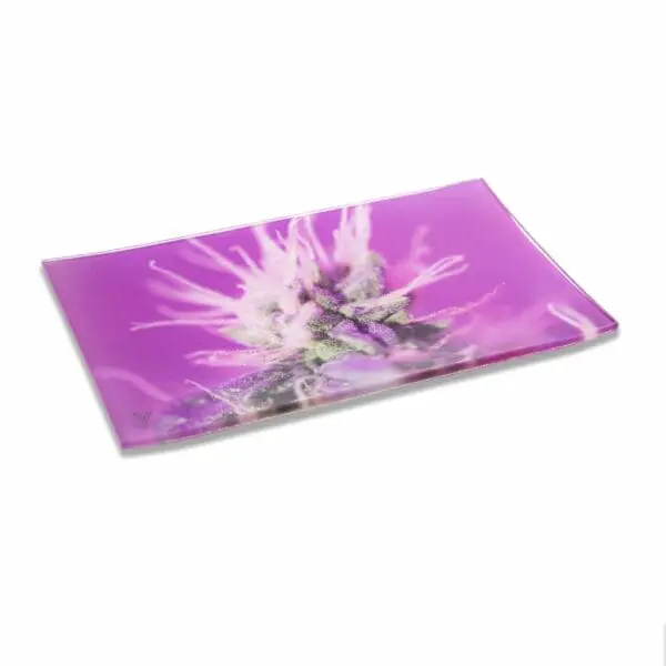 Pink Lemonade Glass Rollin' Tray - Haze Smoke Shop USA
