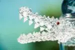 Space King Crocodile Banger - Handmade - shape