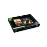 T=HC2 Higher Education Glass Rollin' Tray - Haze Smoke Shop USA