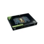 Tribal Lion Glass Rollin' Tray - Haze Smoke Shop USA