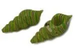 HyBird Conch Pipe - Haze Smoke Shop USA