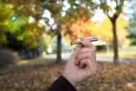 The ONGROK Taster Bat - Aluminum One-Hitter - Haze Smoke Shop USA