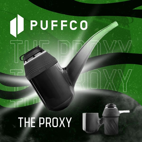 Puffco Proxy, Haze Smoke Shop, USA