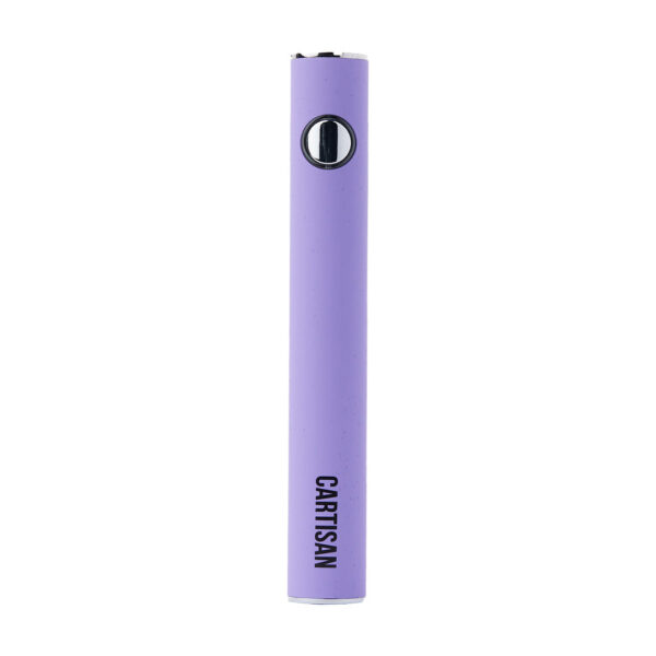 Cartisan Button VV 900 Dual Charge USB-C 2G - Image 9