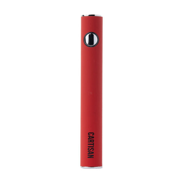 Cartisan Button VV 900 Dual Charge USB-C 2G - Image 13