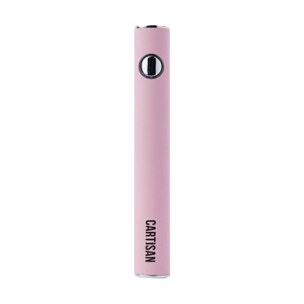 Cartisan Button VV 900 Dual Charge USB-C 2G - Image 6