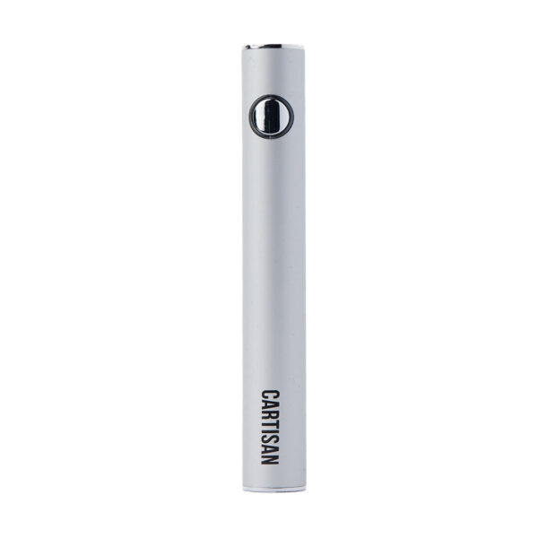 Cartisan Button VV 900 Dual Charge USB-C 2G - Image 14