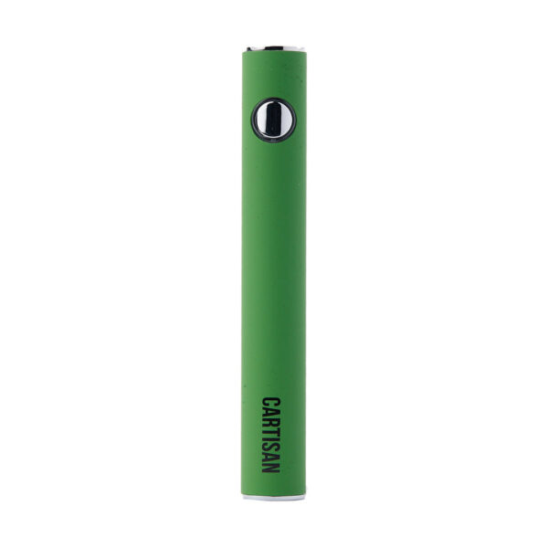 Cartisan Button VV 900 Dual Charge USB-C 2G - Image 4