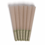 BlackCraft 1 1/4 Cones - Haze Smoke Shop USA
