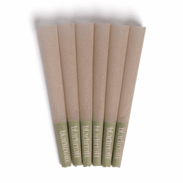 BlackCraft 1 1/4 Cones - Haze Smoke Shop USA