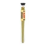 RAW Pressed Bud Wrap Cone - 12pc Display - Haze Smoke Shop USA